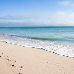 Beautiful day at the beach