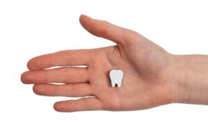 hand holding a fake tooth